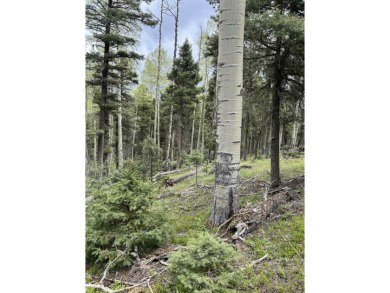 With soaring views, this parcel has all fauna of the forest on on Angel Fire Resort Country Club in New Mexico - for sale on GolfHomes.com, golf home, golf lot