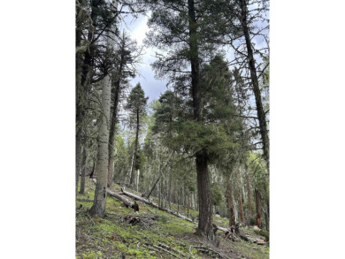 With soaring views, this parcel has all fauna of the forest on on Angel Fire Resort Country Club in New Mexico - for sale on GolfHomes.com, golf home, golf lot