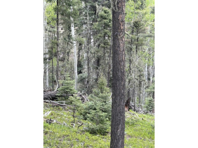 With soaring views, this parcel has all fauna of the forest on on Angel Fire Resort Country Club in New Mexico - for sale on GolfHomes.com, golf home, golf lot
