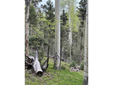 With soaring views, this parcel has all fauna of the forest on on Angel Fire Resort Country Club in New Mexico - for sale on GolfHomes.com, golf home, golf lot