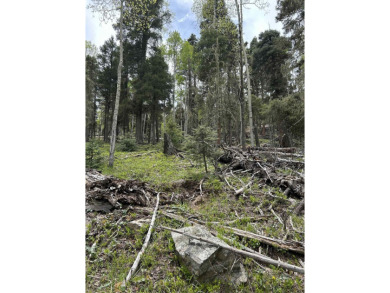 With soaring views, this parcel has all fauna of the forest on on Angel Fire Resort Country Club in New Mexico - for sale on GolfHomes.com, golf home, golf lot