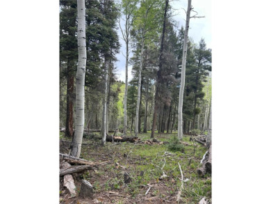 With soaring views, this parcel has all fauna of the forest on on Angel Fire Resort Country Club in New Mexico - for sale on GolfHomes.com, golf home, golf lot