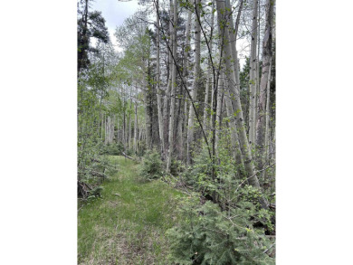 With soaring views, this parcel has all fauna of the forest on on Angel Fire Resort Country Club in New Mexico - for sale on GolfHomes.com, golf home, golf lot