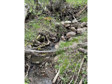 With soaring views, this parcel has all fauna of the forest on on Angel Fire Resort Country Club in New Mexico - for sale on GolfHomes.com, golf home, golf lot