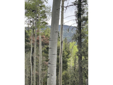 With soaring views, this parcel has all fauna of the forest on on Angel Fire Resort Country Club in New Mexico - for sale on GolfHomes.com, golf home, golf lot