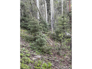 With soaring views, this parcel has all fauna of the forest on on Angel Fire Resort Country Club in New Mexico - for sale on GolfHomes.com, golf home, golf lot