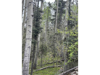 With soaring views, this parcel has all fauna of the forest on on Angel Fire Resort Country Club in New Mexico - for sale on GolfHomes.com, golf home, golf lot