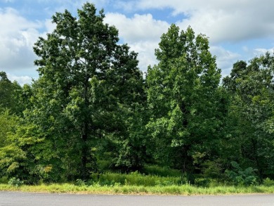 FREE ONE-YEAR STANDARD SINGLE MEMBERSHIP AT CHATUGE SHORES GOLF on Chatuge Shores Golf Course in North Carolina - for sale on GolfHomes.com, golf home, golf lot