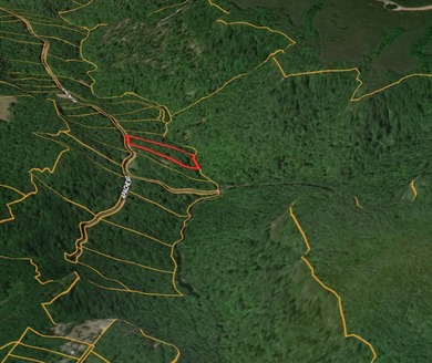 OWNER FINANCE  Enjoy the beauty and tranquility of nature with on  in Tennessee - for sale on GolfHomes.com, golf home, golf lot