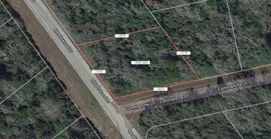 THIS IS THE VERY BEST COUNTY CLUB IN TEXAS for the money. Let me on Hilltop Lakes Resort Golf Club in Texas - for sale on GolfHomes.com, golf home, golf lot