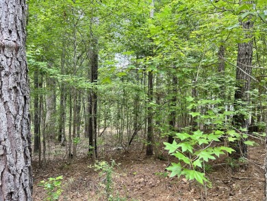 Very gentle slope Lake Lot in Shenandoah section of Savannah on Monticello Golf Club At Savannah Lakes in South Carolina - for sale on GolfHomes.com, golf home, golf lot