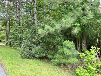 Very gentle slope Lake Lot in Shenandoah section of Savannah on Monticello Golf Club At Savannah Lakes in South Carolina - for sale on GolfHomes.com, golf home, golf lot