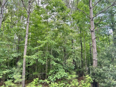 Very gentle slope Lake Lot in Shenandoah section of Savannah on Monticello Golf Club At Savannah Lakes in South Carolina - for sale on GolfHomes.com, golf home, golf lot