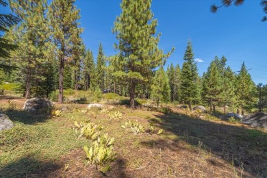 Nestled in the sought-after Donner Crest subdivision, this sunny on Coyote Moon Golf Course in California - for sale on GolfHomes.com, golf home, golf lot