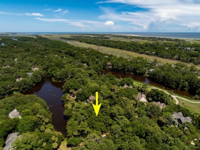 Build Your Dream Home on Kiawah Island - Corner Lot with Lagoon on Kiawah Island Resort - Osprey Point in South Carolina - for sale on GolfHomes.com, golf home, golf lot
