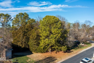 Beautiful Lake View Lot for the front and back of the property on Tellico Village Golf Club in Tennessee - for sale on GolfHomes.com, golf home, golf lot