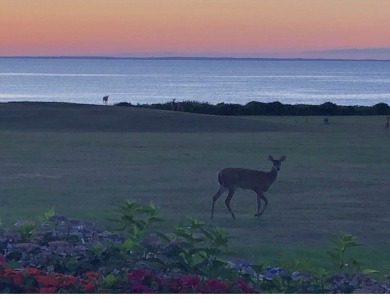 Experience luxury living in this spectacular oceanfront condo on Round Hill Community Golf Club in Massachusetts - for sale on GolfHomes.com, golf home, golf lot