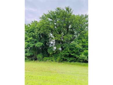 This beautiful property is located in White Bluff Resort. The on White Bluff Resort - New Course in Texas - for sale on GolfHomes.com, golf home, golf lot