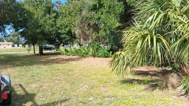 Beautiful Residential Lot for Sale in Harbour Heights.  A on Deep Creek Golf Club in Florida - for sale on GolfHomes.com, golf home, golf lot