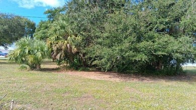 Beautiful Residential Lot for Sale in Harbour Heights.  A on Deep Creek Golf Club in Florida - for sale on GolfHomes.com, golf home, golf lot