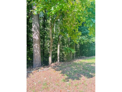 Welcome to Lot 77 at 109 Hawks Ct, a remarkable 2.83+/- acre on Hawks Ridge Golf Club in Georgia - for sale on GolfHomes.com, golf home, golf lot