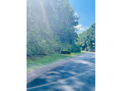 Welcome to Lot 77 at 109 Hawks Ct, a remarkable 2.83+/- acre on Hawks Ridge Golf Club in Georgia - for sale on GolfHomes.com, golf home, golf lot