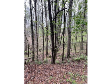 Welcome to Lot 77 at 109 Hawks Ct, a remarkable 2.83+/- acre on Hawks Ridge Golf Club in Georgia - for sale on GolfHomes.com, golf home, golf lot