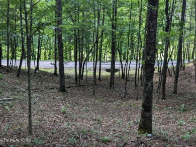 Located on a private street within the Laurel Valley community on Laurel Valley Golf Course in Tennessee - for sale on GolfHomes.com, golf home, golf lot