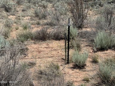 Attention Investors - Zoned RT Residential Transitional this 1 on Snowflake Municipal Golf Course in Arizona - for sale on GolfHomes.com, golf home, golf lot