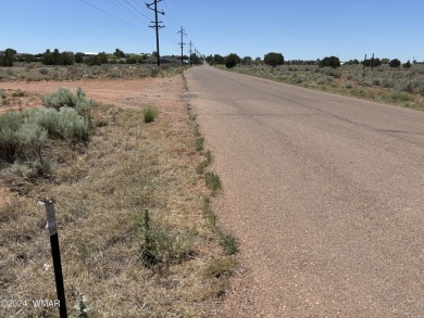 Attention Investors - Zoned RT Residential Transitional this 1 on Snowflake Municipal Golf Course in Arizona - for sale on GolfHomes.com, golf home, golf lot