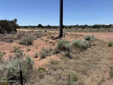 Attention Investors - Zoned RT Residential Transitional this 1 on Snowflake Municipal Golf Course in Arizona - for sale on GolfHomes.com, golf home, golf lot