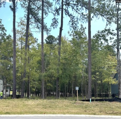 Welcome to White Water Landing, Lake Murray's newest premier on Timberlake Country Club in South Carolina - for sale on GolfHomes.com, golf home, golf lot