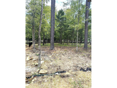 Welcome to White Water Landing, Lake Murray's newest premier on Timberlake Country Club in South Carolina - for sale on GolfHomes.com, golf home, golf lot