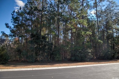 Gorgeous, Private Lot located in the Heart of Murrells Inlet in on TPC Myrtle Beach Golf Club in South Carolina - for sale on GolfHomes.com, golf home, golf lot