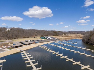 Don't miss this unit in an unbelievable location backing to Lake on Eagle Ridge Inn and Resort in Illinois - for sale on GolfHomes.com, golf home, golf lot