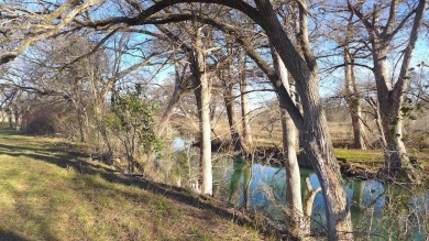 Hard to find river frontage (341.6 feet on the river) priced for on Buckhorn Golf Course in Texas - for sale on GolfHomes.com, golf home, golf lot