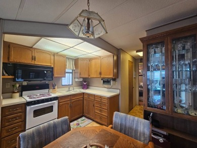 Open Floor Plan 1BD 1.5 Bath W/Huge Covered Carport & 2 Fruit on Viewpoint Golf Resort in Arizona - for sale on GolfHomes.com, golf home, golf lot
