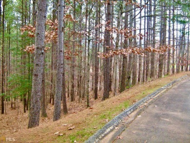 Discover the tranquility of The Orchard, an esteemed mountain on The Orchard Golf and Country Club in Georgia - for sale on GolfHomes.com, golf home, golf lot