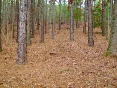 Discover the tranquility of The Orchard, an esteemed mountain on The Orchard Golf and Country Club in Georgia - for sale on GolfHomes.com, golf home, golf lot