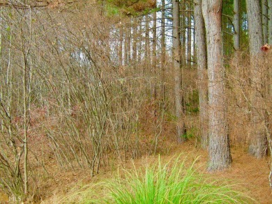 Discover the tranquility of The Orchard, an esteemed mountain on The Orchard Golf and Country Club in Georgia - for sale on GolfHomes.com, golf home, golf lot