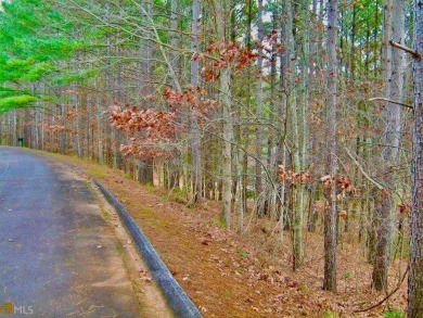 Discover the tranquility of The Orchard, an esteemed mountain on The Orchard Golf and Country Club in Georgia - for sale on GolfHomes.com, golf home, golf lot