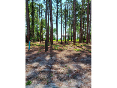 The absolute best cleared bay view lot in St James Bay Golf & on St. James Bay in Florida - for sale on GolfHomes.com, golf home, golf lot