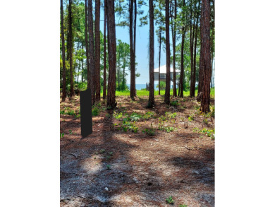 The absolute best cleared bay view lot in St James Bay Golf & on St. James Bay in Florida - for sale on GolfHomes.com, golf home, golf lot