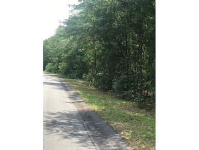 This large wooded lot is ready for you to build your dream home on Sweetwater Country Club in South Carolina - for sale on GolfHomes.com, golf home, golf lot