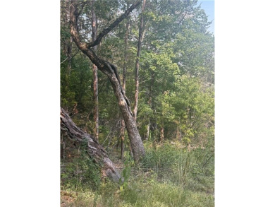 Build your dream home on this .46-acre lot in the desirable on Holiday Island Executive Golf Course in Arkansas - for sale on GolfHomes.com, golf home, golf lot