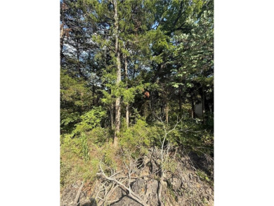 Build your dream home on this .46-acre lot in the desirable on Holiday Island Executive Golf Course in Arkansas - for sale on GolfHomes.com, golf home, golf lot