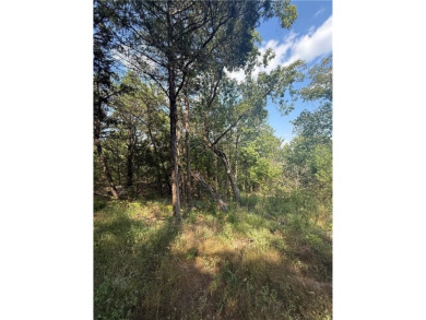 Build your dream home on this .46-acre lot in the desirable on Holiday Island Executive Golf Course in Arkansas - for sale on GolfHomes.com, golf home, golf lot
