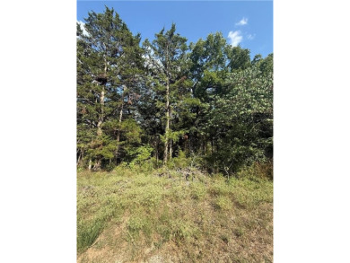 Build your dream home on this .46-acre lot in the desirable on Holiday Island Executive Golf Course in Arkansas - for sale on GolfHomes.com, golf home, golf lot