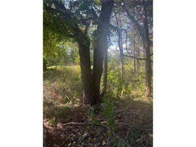 Build your dream home on this .46-acre lot in the desirable on Holiday Island Executive Golf Course in Arkansas - for sale on GolfHomes.com, golf home, golf lot