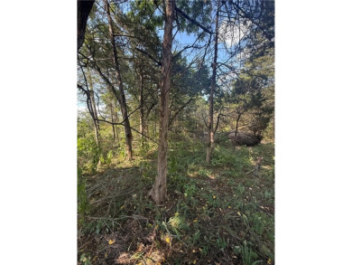 Build your dream home on this .46-acre lot in the desirable on Holiday Island Executive Golf Course in Arkansas - for sale on GolfHomes.com, golf home, golf lot